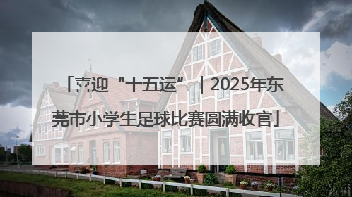 喜迎“十五运”｜2025年东莞市小学生足球比赛圆满收官