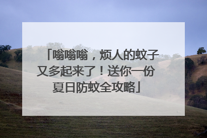嗡嗡嗡，烦人的蚊子又多起来了！送你一份夏日防蚊全攻略