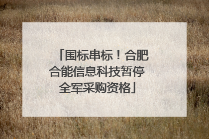 围标串标！合肥合能信息科技暂停全军采购资格