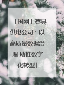 国网上蔡县供电公司：以高质量数据治理 助推数字化转型