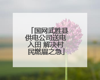 国网武胜县供电公司送电入田 解决村民燃眉之急