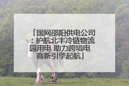 国网邵阳供电公司：护航北丰冷链物流园用电 助力跨境电商新引擎起航