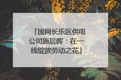 国网长乐区供电公司施晨晖：在一线绽放劳动之花