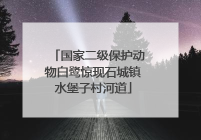 国家二级保护动物白鹭惊现石城镇水堡子村河道