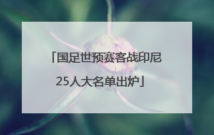 国足世预赛客战印尼25人大名单出炉