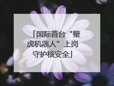 国际首台“壁虎机器人”上岗守护核安全