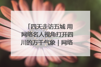 四天走访五城 用网络名人视角打开四川的万千气象｜网络名人四川行