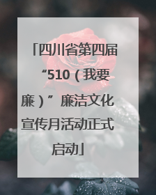 四川省第四届“510（我要廉）”廉洁文化宣传月活动正式启动