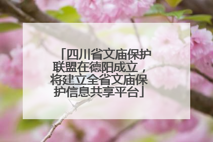 四川省文庙保护联盟在德阳成立，将建立全省文庙保护信息共享平台