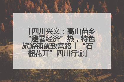 四川兴文：高山苗乡“避暑经济”热，特色旅游铺就致富路丨“石榴花开”四川行⑧