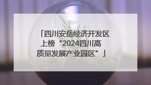 四川安岳经济开发区上榜“2024四川高质量发展产业园区”