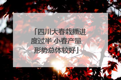 四川大春栽播进度过半 小春产量形势总体较好