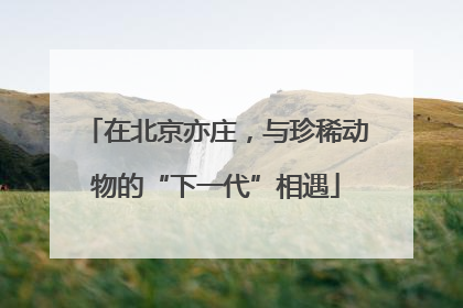 在北京亦庄，与珍稀动物的“下一代”相遇