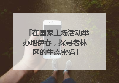 在国家主场活动举办地伊春，探寻老林区的生态密码