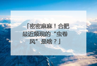 密密麻麻！合肥最近频现的“虫卷风”是啥？
