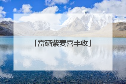 富硒紫麦喜丰收