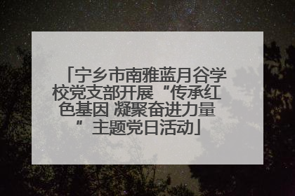宁乡市南雅蓝月谷学校党支部开展“传承红色基因 凝聚奋进力量”主题党日活动