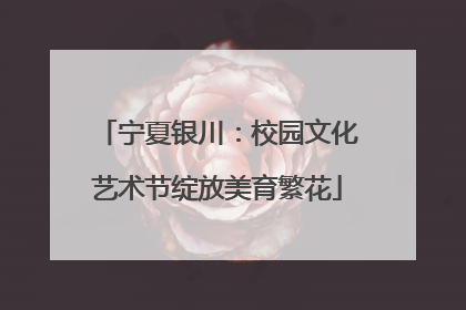 宁夏银川：校园文化艺术节绽放美育繁花