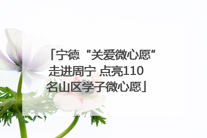 宁德“关爱微心愿”走进周宁 点亮110名山区学子微心愿