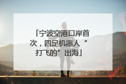 宁波空港口岸首次，四足机器人“打飞的”出海