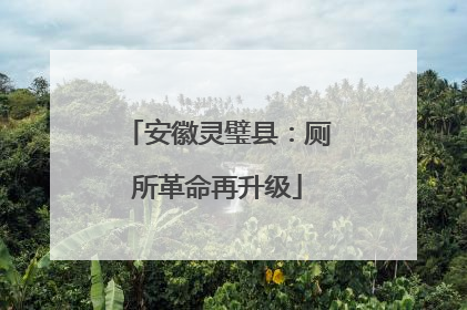 安徽灵璧县：厕所革命再升级