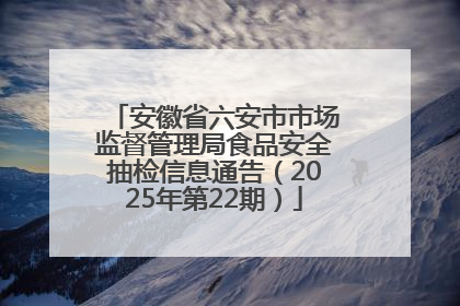 安徽省六安市市场监督管理局食品安全抽检信息通告（2025年第22期）
