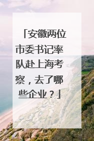 安徽两位市委书记率队赴上海考察，去了哪些企业？