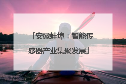 安徽蚌埠：智能传感器产业集聚发展