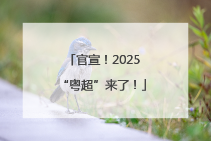 官宣！2025“粤超”来了！