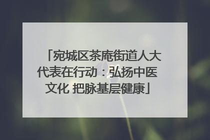 宛城区茶庵街道人大代表在行动：弘扬中医文化 把脉基层健康
