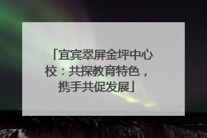 宜宾翠屏金坪中心校：共探教育特色，携手共促发展