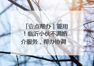 壹点帮办｜管用！临沂小伙不满婚介服务，帮办协调后商家退费