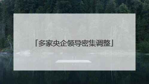 多家央企领导密集调整