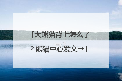 大熊猫背上怎么了？熊猫中心发文→