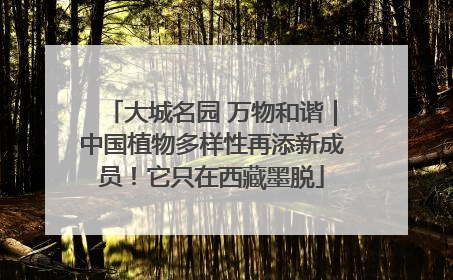 大城名园 万物和谐｜中国植物多样性再添新成员！它只在西藏墨脱