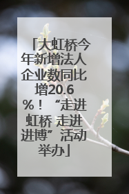 大虹桥今年新增法人企业数同比增20.6%！“走进虹桥 走进进博”活动举办