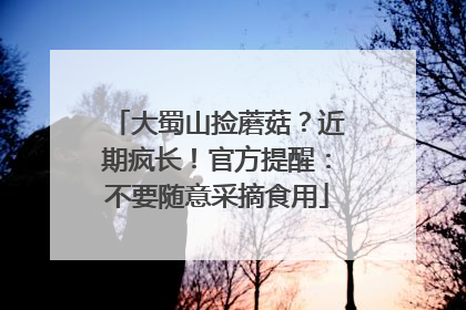 大蜀山捡蘑菇？近期疯长！官方提醒：不要随意采摘食用