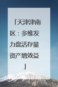天津津南区：多维发力盘活存量资产增效益