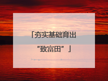 夯实基础育出“致富田”