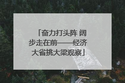 奋力打头阵 阔步走在前——经济大省挑大梁观察