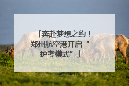 奔赴梦想之约！郑州航空港开启“护考模式”