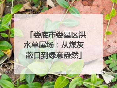 娄底市娄星区洪水单屋场：从煤灰蔽日到绿意盎然