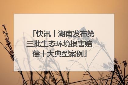 快讯丨湖南发布第三批生态环境损害赔偿十大典型案例
