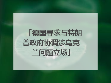 德国寻求与特朗普政府协调涉乌克兰问题立场