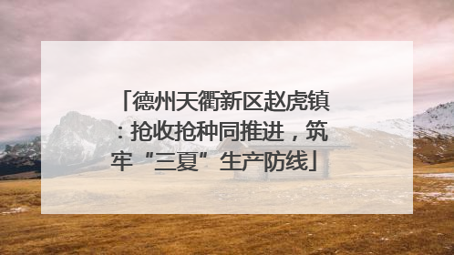 德州天衢新区赵虎镇：抢收抢种同推进，筑牢“三夏”生产防线