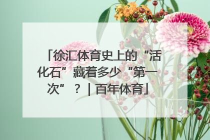 徐汇体育史上的“活化石”藏着多少“第一次”？｜百年体育