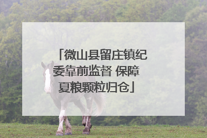 微山县留庄镇纪委靠前监督 保障夏粮颗粒归仓