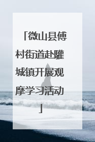 微山县傅村街道赴驩城镇开展观摩学习活动
