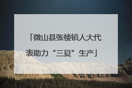 微山县张楼镇人大代表助力“三夏”生产
