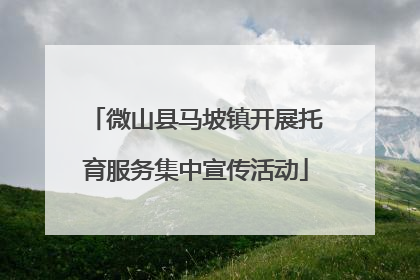 微山县马坡镇开展托育服务集中宣传活动